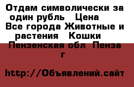 Отдам символически за один рубль › Цена ­ 1 - Все города Животные и растения » Кошки   . Пензенская обл.,Пенза г.